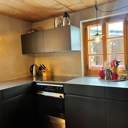 Alpenlodge Tgesa Surrein Giassa10 Apartment *