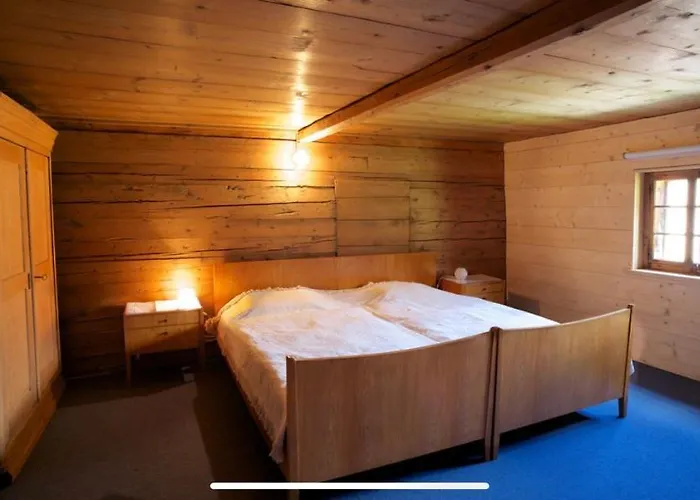 Alpenlodge Tgesa Surrein Giassa10