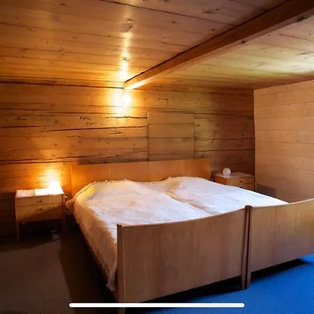 Alpenlodge Tgesa Surrein Giassa10