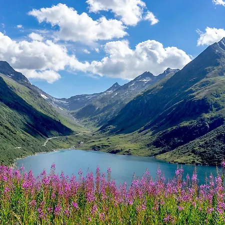 Apartamento Alpenlodge Tgesa Surrein Giassa10